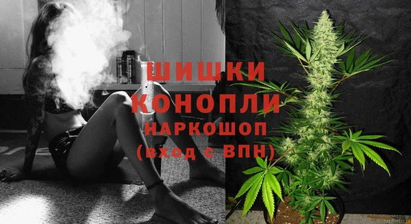 гидра Саяногорск