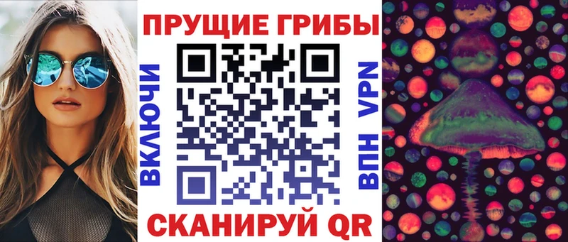 Псилоцибиновые грибы MAGIC MUSHROOMS  продажа наркотиков  Можга 