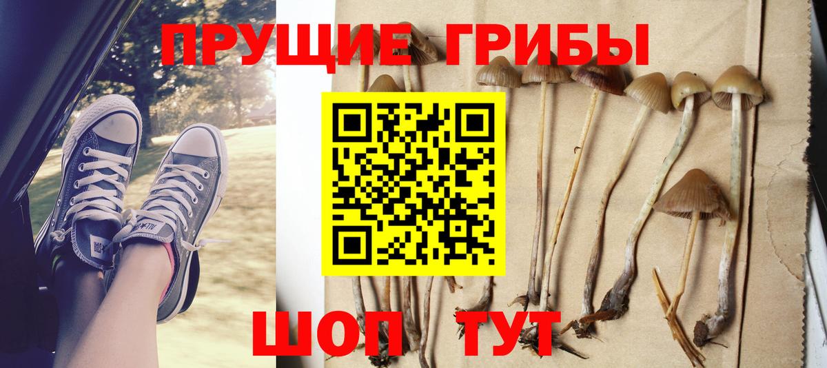 Псилоцибиновые грибы MAGIC MUSHROOMS  Вход с VPN  Можга 